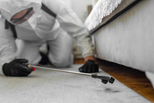 Professional Bed Bug Control technician working in Littleton Common, MA