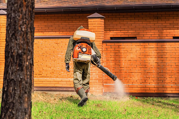 Trusted Cockroach Control service in Littleton Common, MA - Nex Pest Control